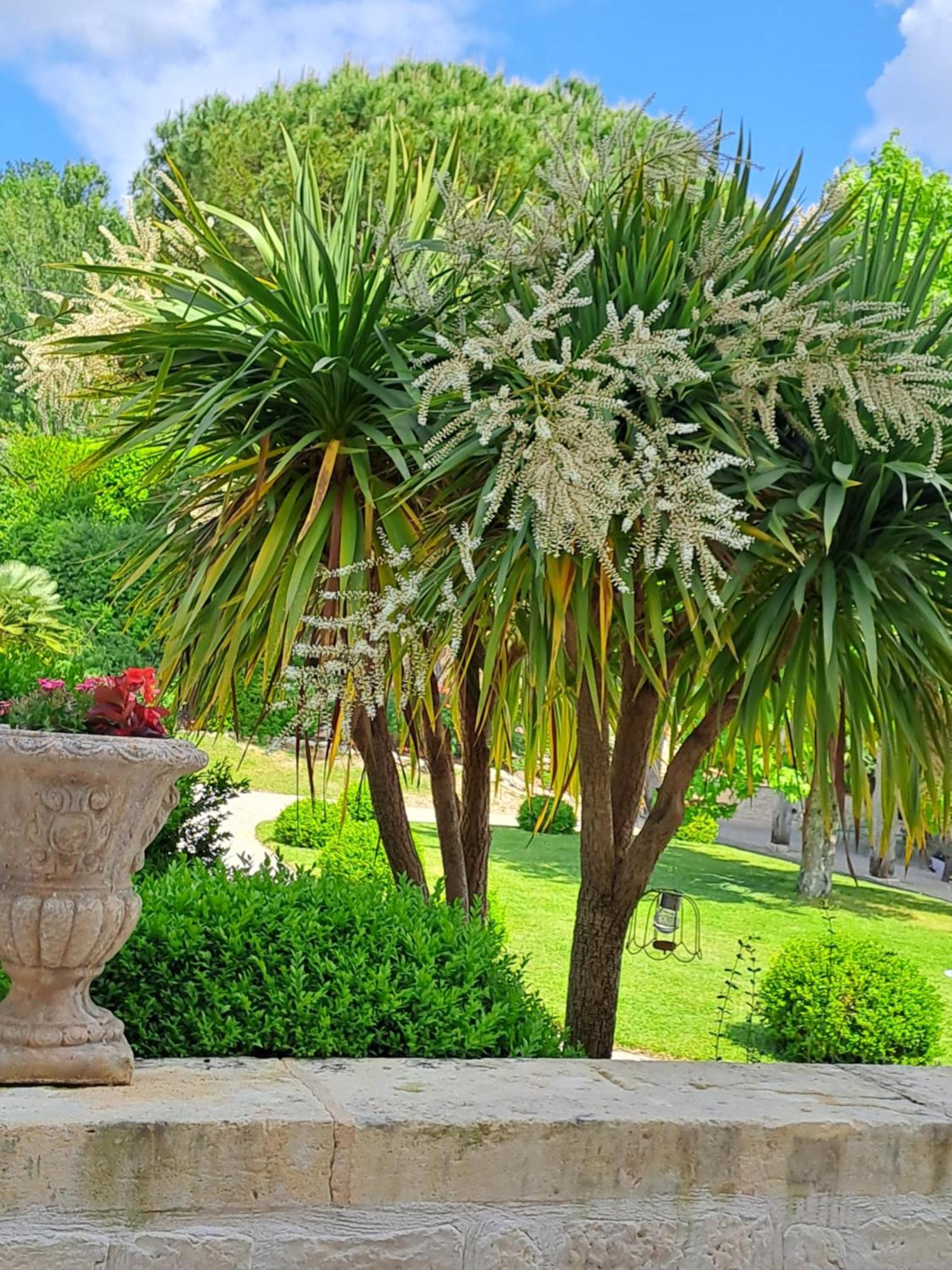 La Maison De Maitre Sainte-Livrade-sur-Lot Esterno foto
