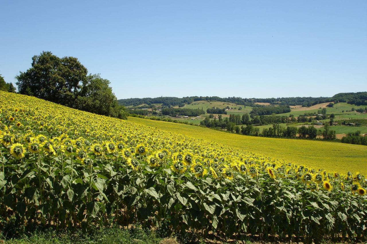La Maison De Maitre Sainte-Livrade-sur-Lot Esterno foto
