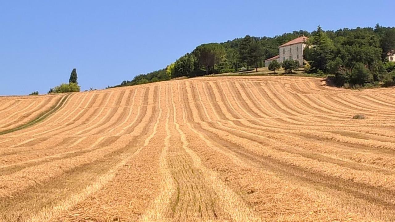 La Maison De Maitre Sainte-Livrade-sur-Lot Esterno foto